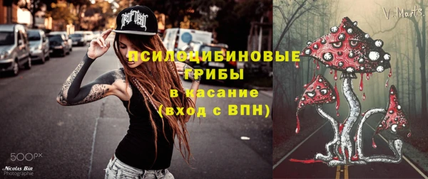 хмурый Няндома