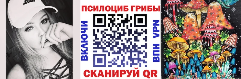 закладки  Новосибирск  Псилоцибиновые грибы GOLDEN TEACHER 