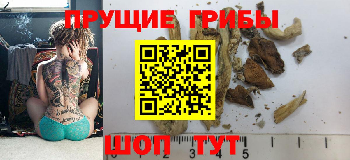 Псилоцибиновые грибы MAGIC MUSHROOMS Новосибирск