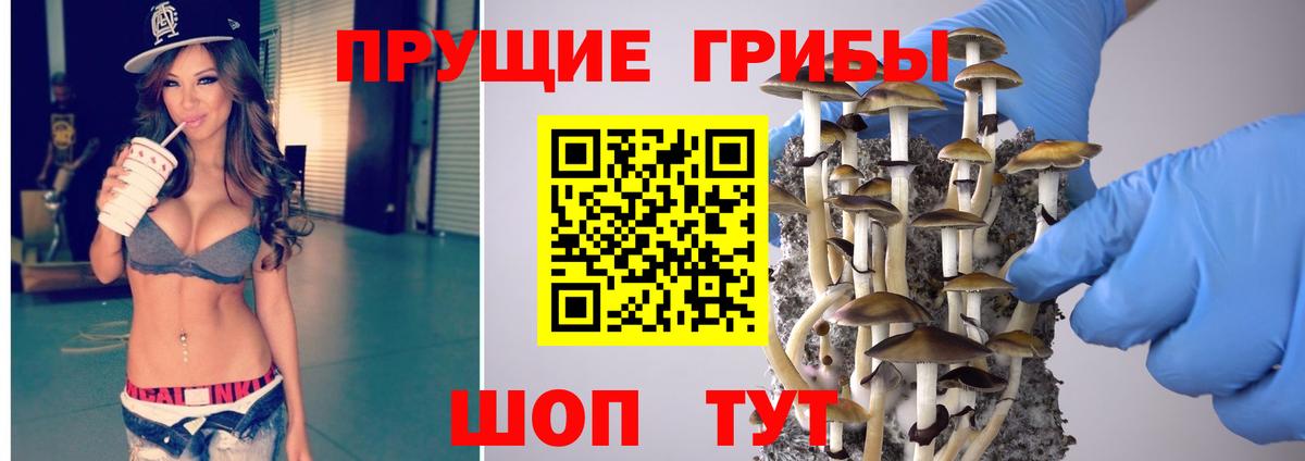 Галлюциногенные грибы прущие грибы  Галлюциногенные грибы MAGIC MUSHROOMS  Вход с VPN  даркнет сайт  Новосибирск 